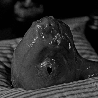 Eraserhead Baby: ADOPTED SON.